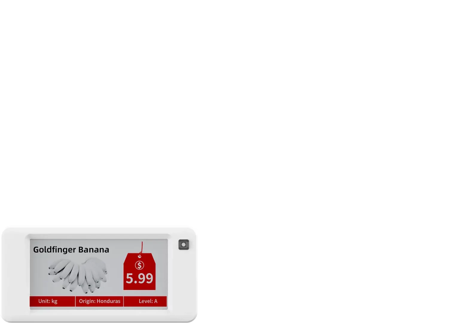 SE-266 ESL from the front